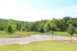 200 Thunder Ridge Estates Dr, Branson, MO 65616 photo 32