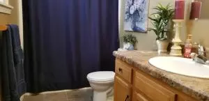 4365 Emma Ct, Harrison, AR 72601 photo 23