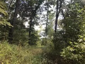 2898 Mulberry Rd, Harrison, AR 72601 photo 1