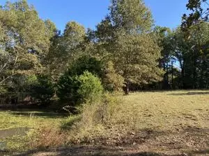 8655 Sugar Rd, Harrison, AR 72601 photo 7