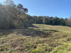 8655 Sugar Rd, Harrison, AR 72601 photo 5