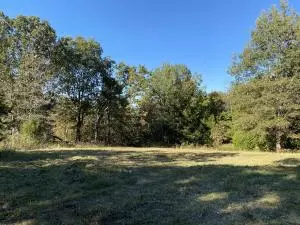 8655 Sugar Rd, Harrison, AR 72601 photo 9