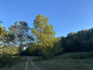 8655 Sugar Rd, Harrison, AR 72601 photo 22