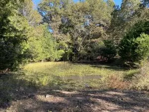 8655 Sugar Rd, Harrison, AR 72601 photo 3