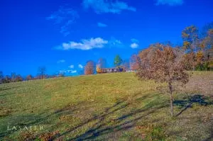 4920 Sand Flat Rd, Harrison, AR 72601 photo 18