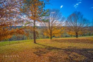 4920 Sand Flat Rd, Harrison, AR 72601 photo 19