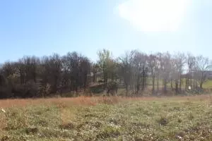 2390 State Hwy 206, Harrison, AR 72601 photo 10
