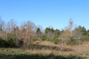 2390 State Hwy 206, Harrison, AR 72601 photo 41
