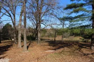 2390 State Hwy 206, Harrison, AR 72601 photo 34