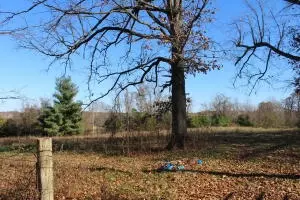 2390 State Hwy 206, Harrison, AR 72601 photo 35