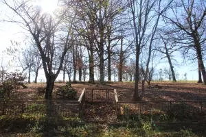 2390 State Hwy 206, Harrison, AR 72601 photo 11