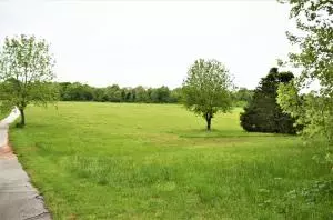 4019 Savannah Dr, Harrison, AR 72601 photo 4
