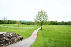 4019 Savannah Dr, Harrison, AR 72601 photo 6