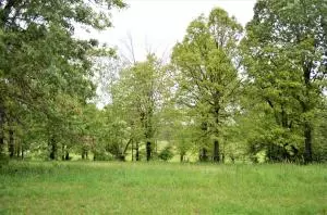 4019 Savannah Dr, Harrison, AR 72601 photo 1