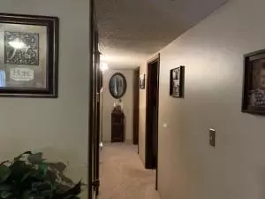 2006 Cedar Ridge Rd, Harrison, AR 72601 photo 21
