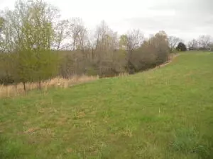 829 Joyful Dr, Marshall, AR 72650 photo 7