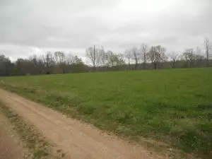 829 Joyful Dr, Marshall, AR 72650 photo 6