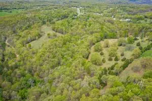 110 Seven Loop, Harrison, AR 72601 photo 31