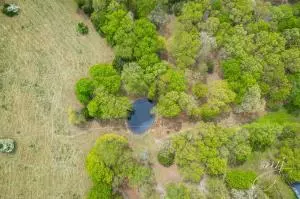 110 Seven Loop, Harrison, AR 72601 photo 30