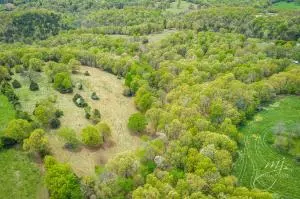 110 Seven Loop, Harrison, AR 72601 photo 29
