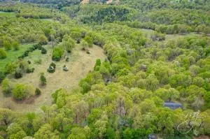 110 Seven Loop, Harrison, AR 72601 photo 28