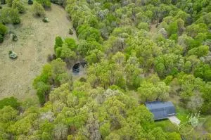 110 Seven Loop, Harrison, AR 72601 photo 27