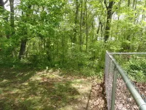 104 Boyd Cir, Marshall, AR 72650 photo 17