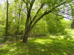 104 Boyd Cir, Marshall, AR 72650 photo 21