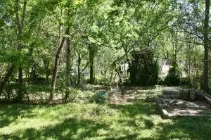 1103 N Spring St, Harrison, AR 72601 photo 15