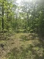 582 Nc 1626, Compton, AR 72624 photo 27