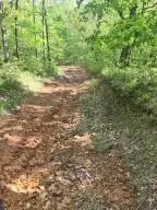 582 Nc 1626, Compton, AR 72624 photo 28