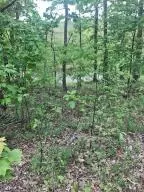 582 Nc 1626, Compton, AR 72624 photo 29