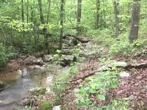 582 Nc 1626, Compton, AR 72624 photo 36