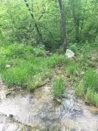 582 Nc 1626, Compton, AR 72624 photo 31