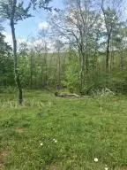 582 Nc 1626, Compton, AR 72624 photo 19