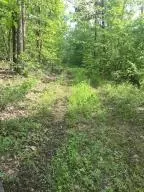 582 Nc 1626, Compton, AR 72624 photo 22
