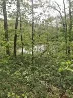 582 Nc 1626, Compton, AR 72624 photo 24