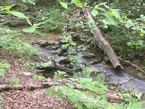 582 Nc 1626, Compton, AR 72624 photo 33