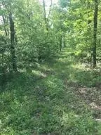 582 Nc 1626, Compton, AR 72624 photo 23