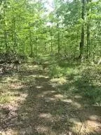 582 Nc 1626, Compton, AR 72624 photo 26
