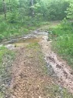 582 Nc 1626, Compton, AR 72624 photo 30