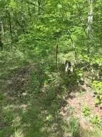 582 Nc 1626, Compton, AR 72624 photo 32