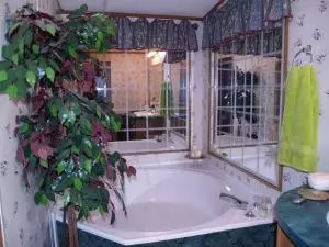 1401 S Terrapin Rd, Harrison, AR 72601 photo 8