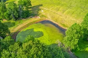 812 N Harmon Rd, Harrison, AR 72601 photo 14