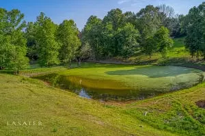 812 N Harmon Rd, Harrison, AR 72601 photo 13