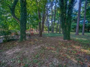 1507 Capps Rd, Harrison, AR 72601 photo 17