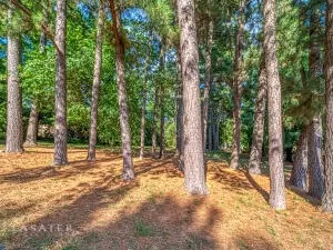 1507 Capps Rd, Harrison, AR 72601 photo 10