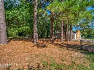 1507 Capps Rd, Harrison, AR 72601 photo 11