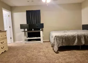 1356 Iris Cv, Harrison, AR 72601 photo 15