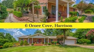 6 Ocoee Cv, Harrison, AR 72601 photo 2